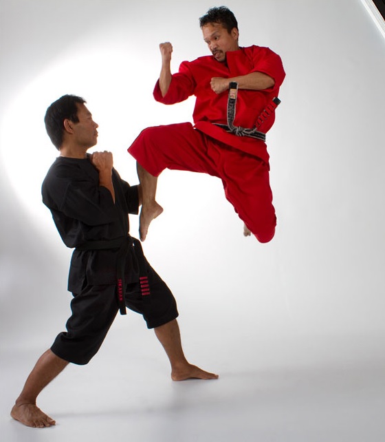Styles Action Martial Arts